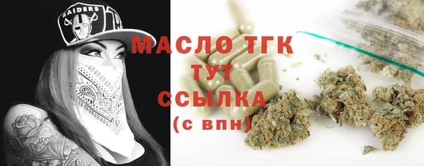 первитин Михайлов