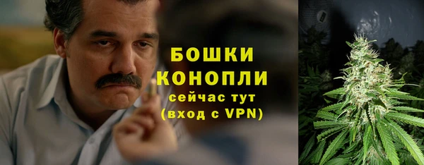 мяу мяу мука Михайловск