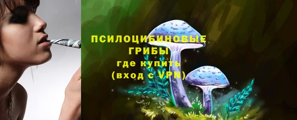 первитин Михайлов