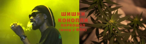 мдпв Лагань