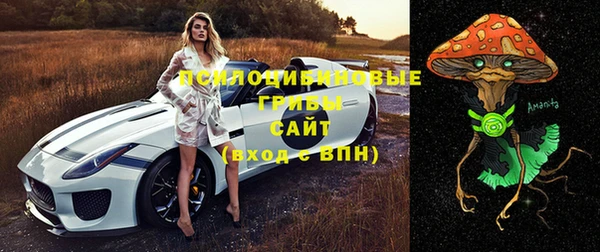 мяу мяу мука Михайловск