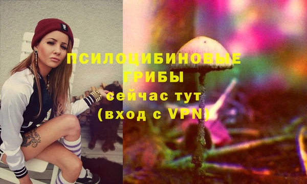 бутират Михайловка